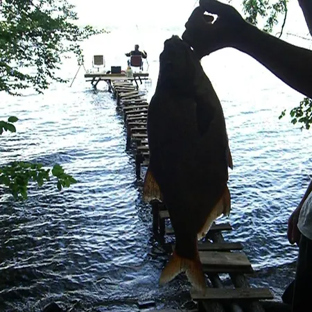 Alloggio in famiglia Mariza Letniskowe *