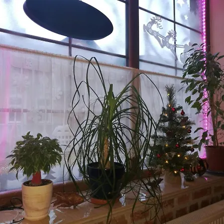 Homestay Mariza Letniskowe *